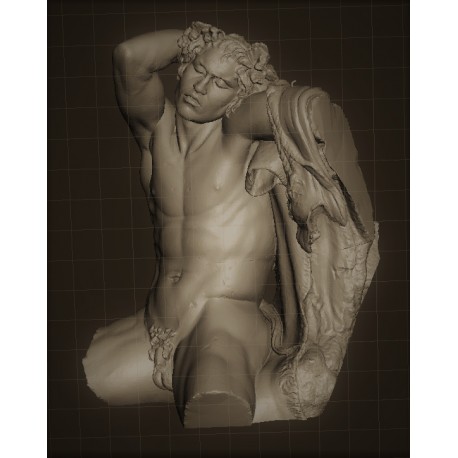 RID 105 Torso Fauno Barberini h. cm. 50