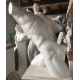 RID 108 Torso Gladiatore Borghese h. cm. 50