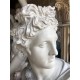 LB 457 Busto  Apollo del Belvedere h. cm. 78