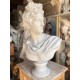 LB 457 Busto  Apollo del Belvedere h. cm. 78