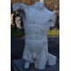 LT 18 Torso tuttotondo Scorticato di Houdon h. cm. 60