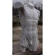 LT 18 Torso tuttotondo Scorticato di Houdon h. cm. 60