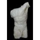 LA 37 Torso anteriore Gladiatore Borghese h. cm. 98