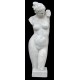 LS 57 Torso femminile Venere h. cm. 61