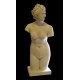 LA 9 Venere dei Medici (torso con testa) h. cm. 103