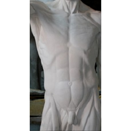 LA 48 Torso tuttotondo senza testa Scorticato di Houdon h. cm. 80