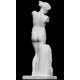 LS 415 Statua Venere dell'Esquilino h. cm. 180