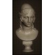 LB 353 Busto Elena di Troia - Canova h. cm. 50