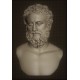 LB 356 Busto Unknown Philosopher h. cm. 50