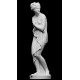 RID 25 Statua Venere Italica del Canova h. cm. 70