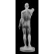 RID 43 Statua Kouros h. cm. 100